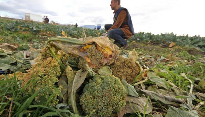 rifiuti_broccoli