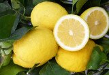 limoni