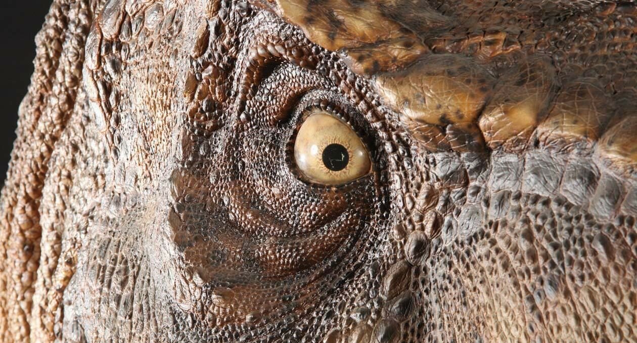 dinosauro