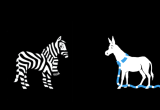 juvenapoli
