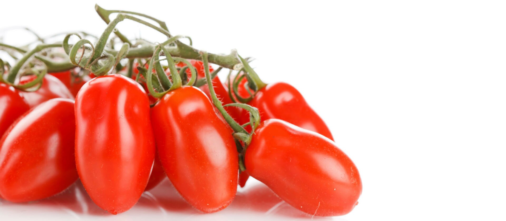 pomodoro san marzano